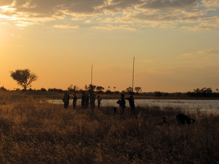 Okovango Delta                                    