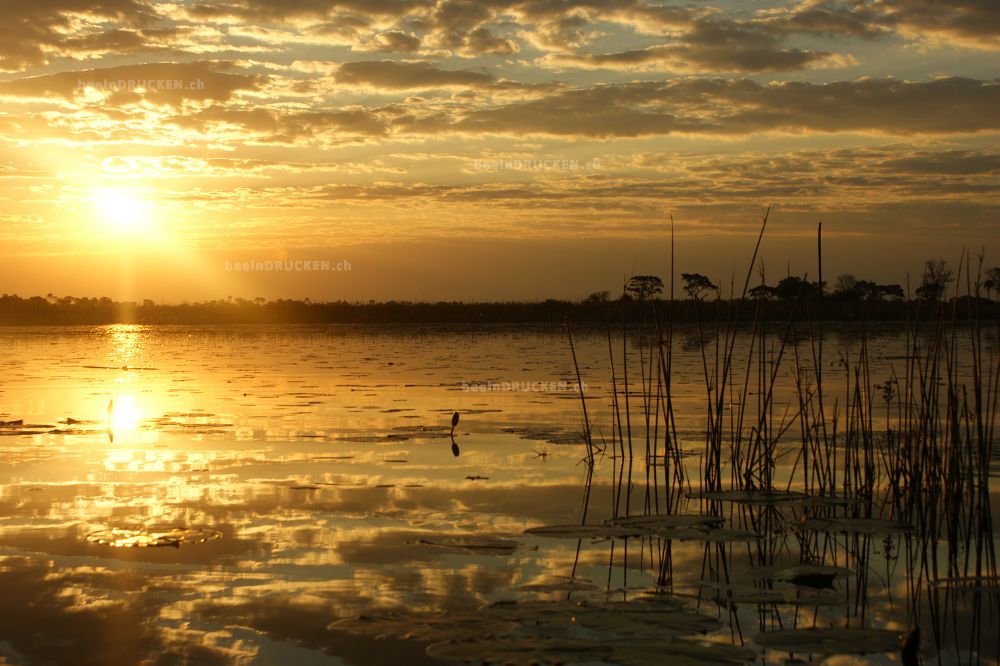 Sonnenuntergang über dem Wasser                   