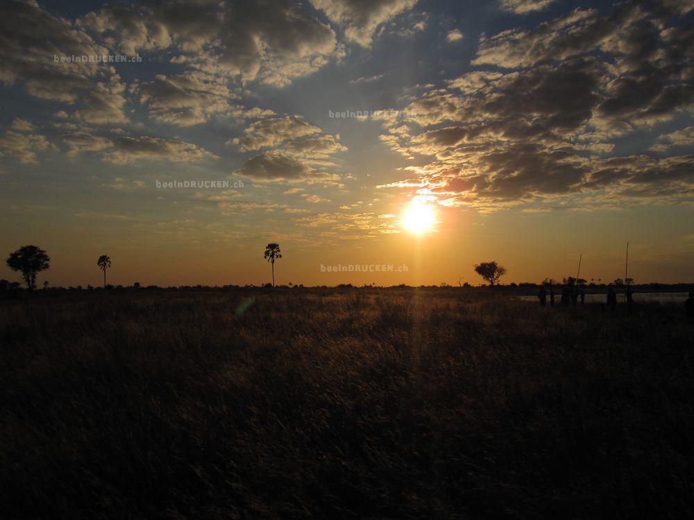 Sonnenuntergang                                   