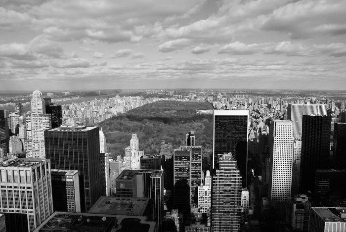 Central Park, NYC                                 