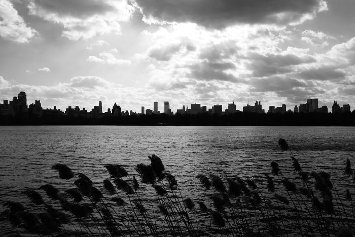 Skyline New York City                             
