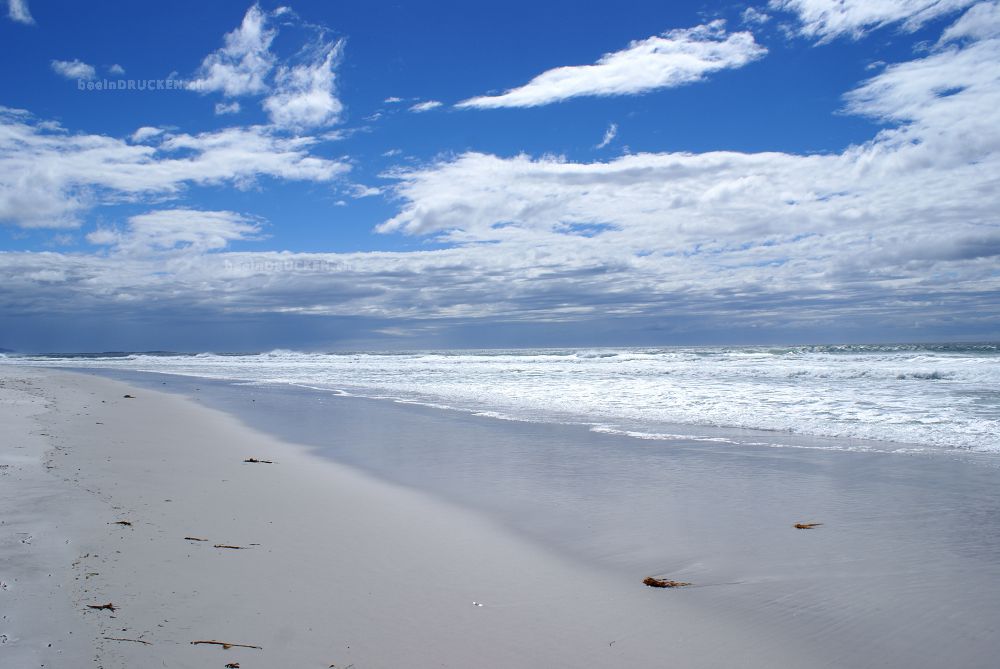 Eins am Strand                                    