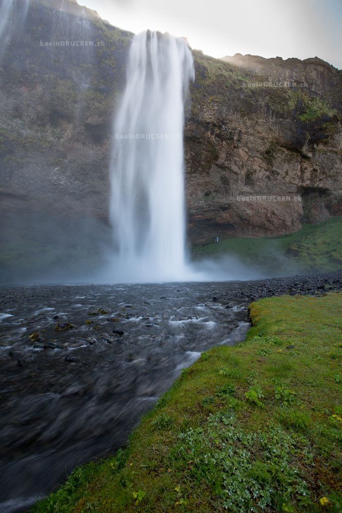 Seljalandsfoss IV                                 