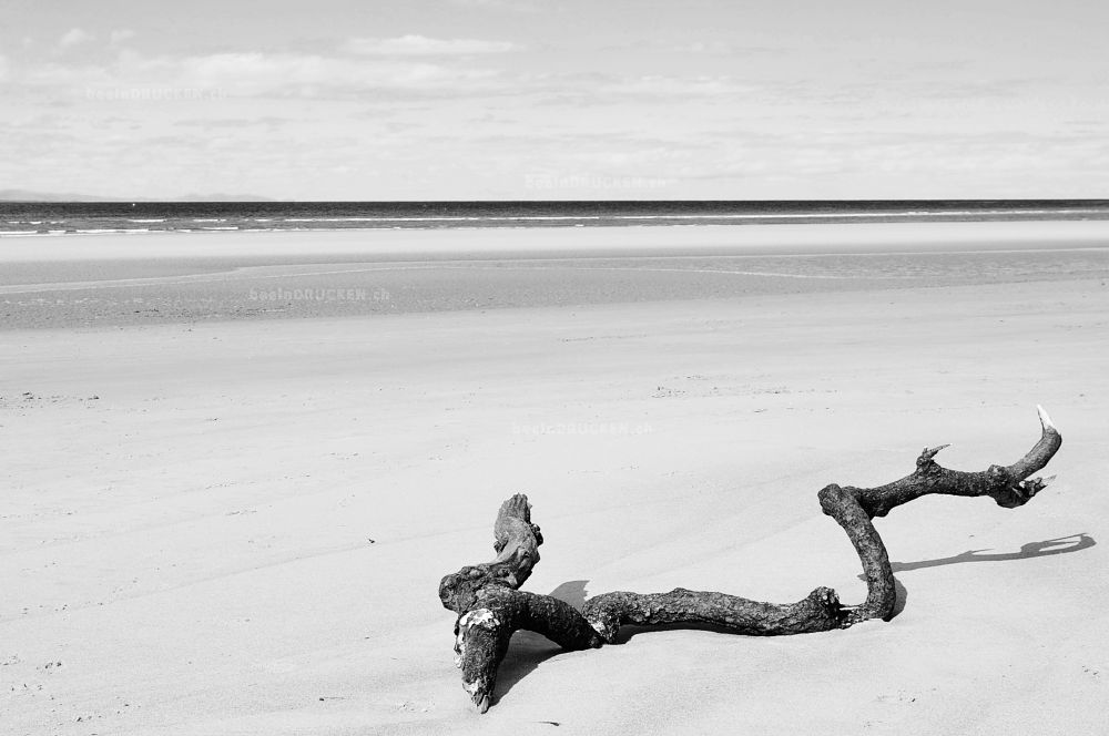 Stamm am Strand                                   