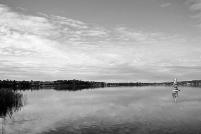 Pfäffikersee                                      