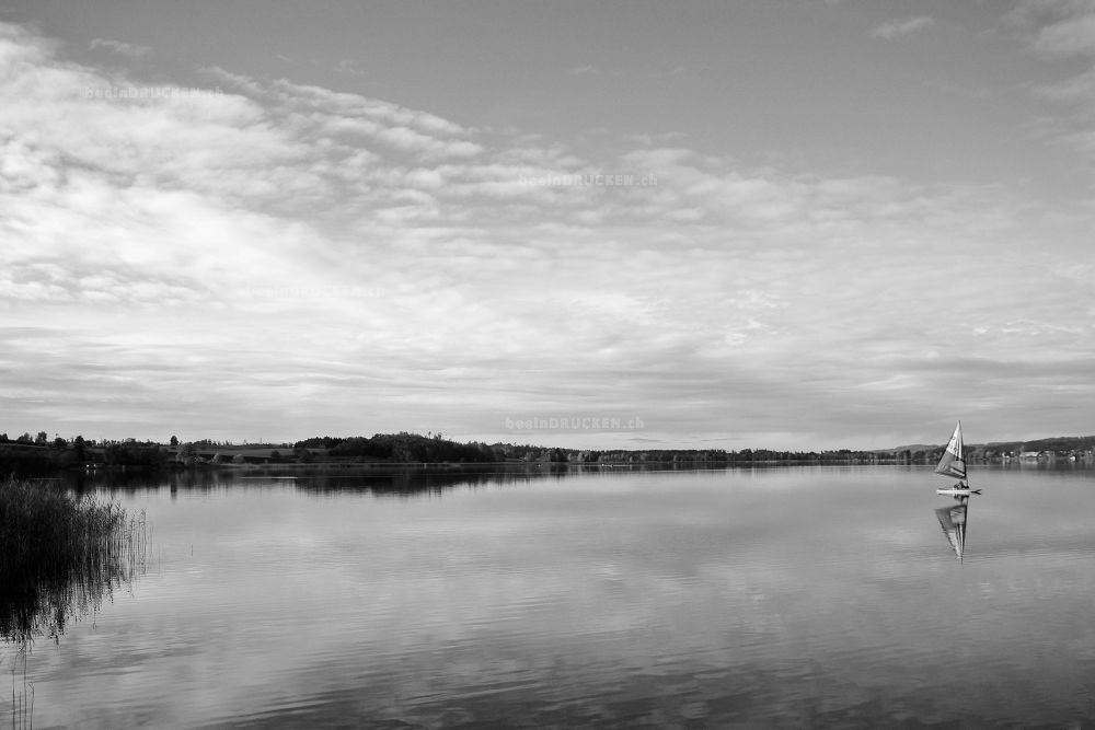 Pfäffikersee                                      