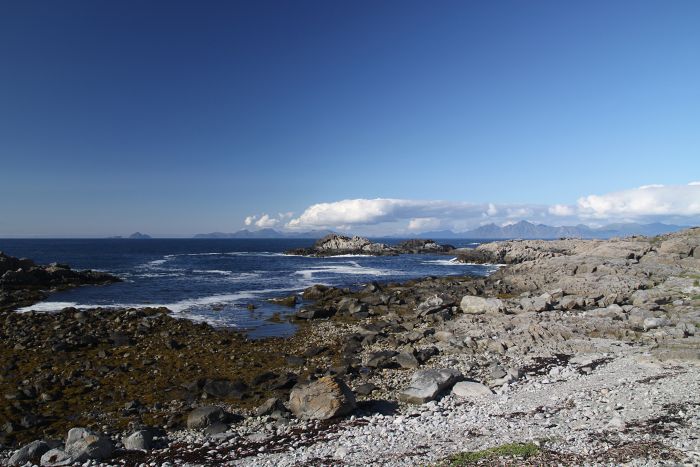 Beach Lofoten                                     