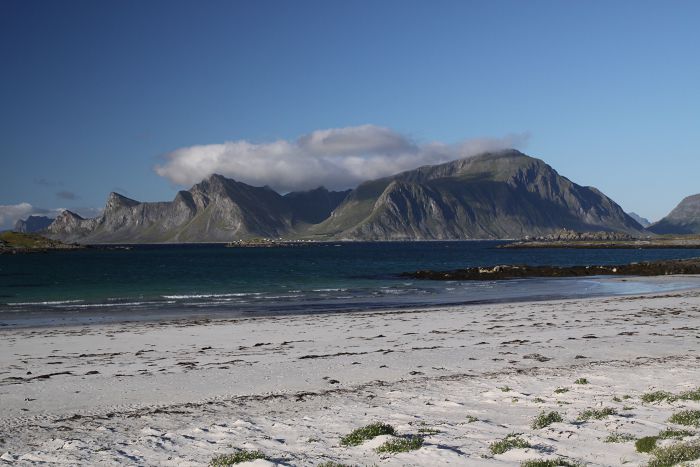 Beach Lofoten                                     