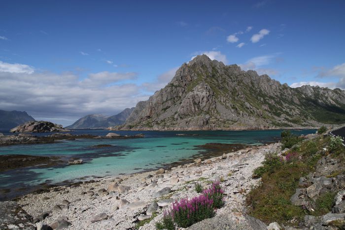 Inlet Lofoten                                     