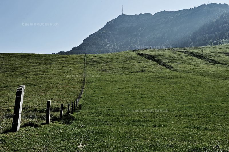 Rigi aus einer anderen Sicht...                   