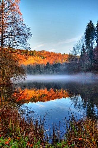 Waldsee                                           