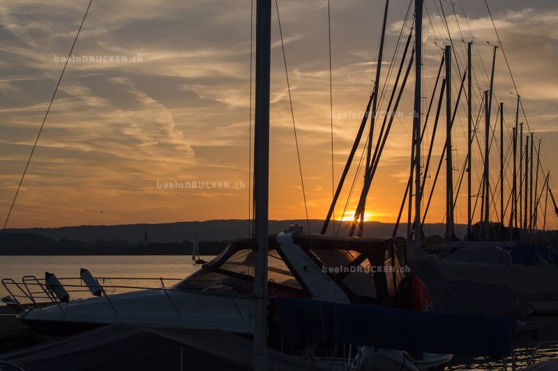 Hafen am Zugersee                                 