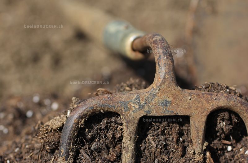 Gartenarbeit                                      