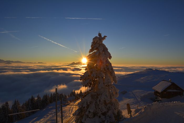 Rigi im Winter                                    