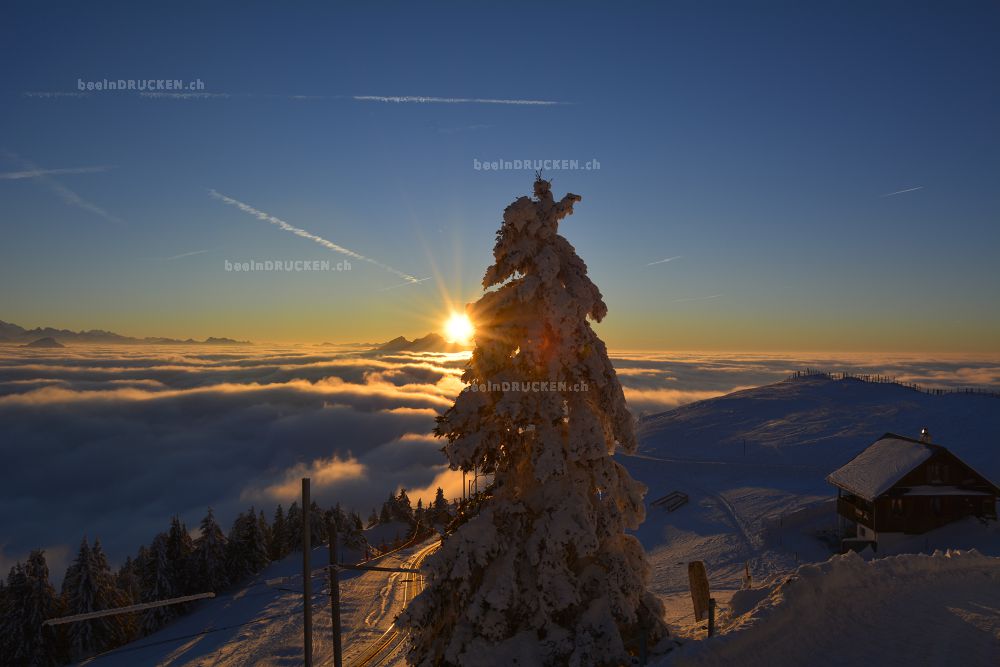 Rigi im Winter                                    