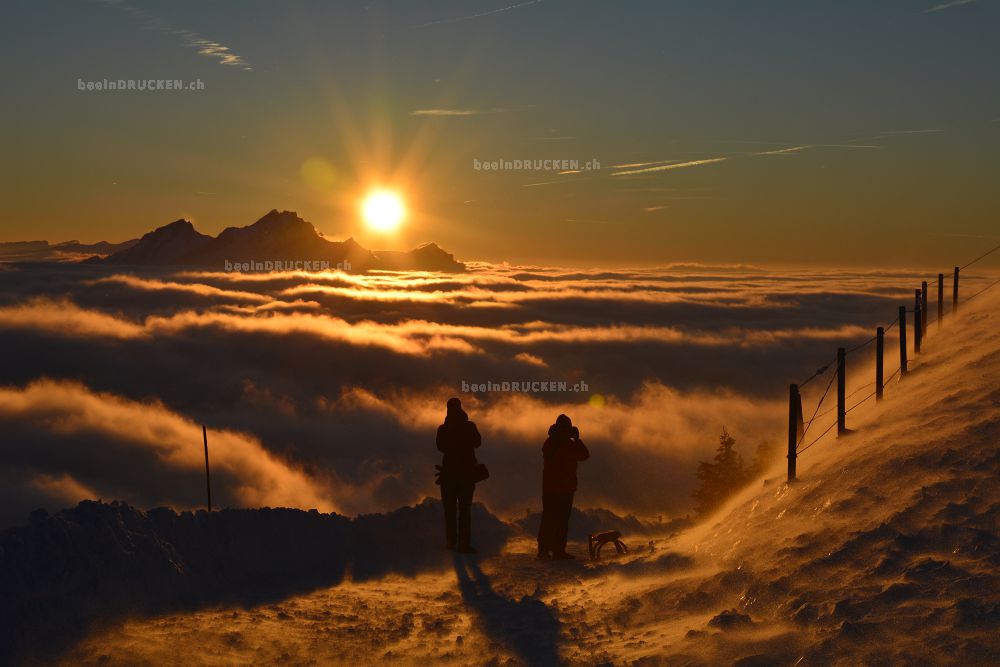 Sonnenuntergang Rigi                              