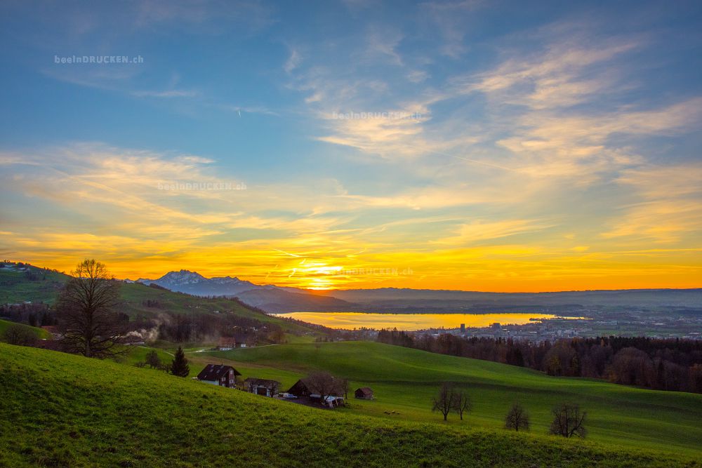 Sonnenuntergang über dem Zugersee                 