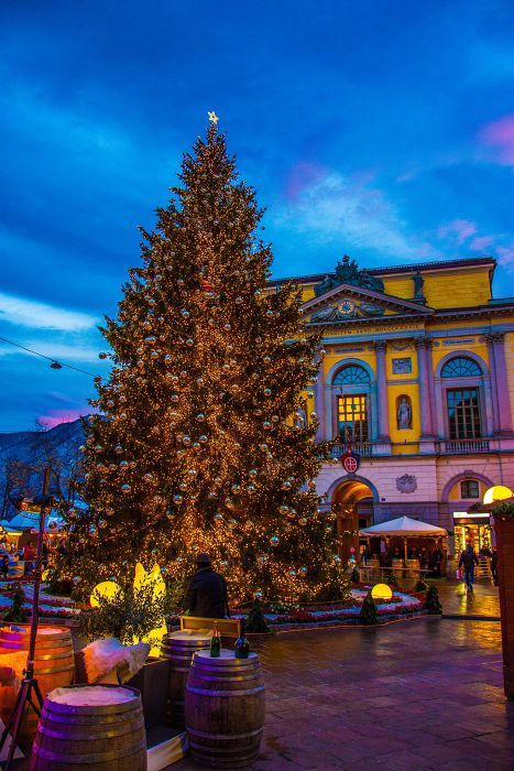 jetzt bestellen Weihnachtsbaum Lugano (2017)
