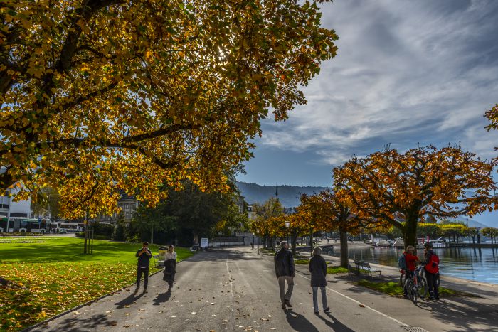 Herbststimmung Zug                                