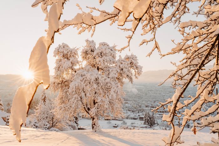 Winter Wonderland                                 