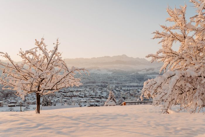 Winter Wonderland                                 